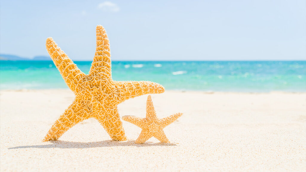 Chiusura Estiva INTEK: dall'8 al 26 agosto 2025 - INTEK